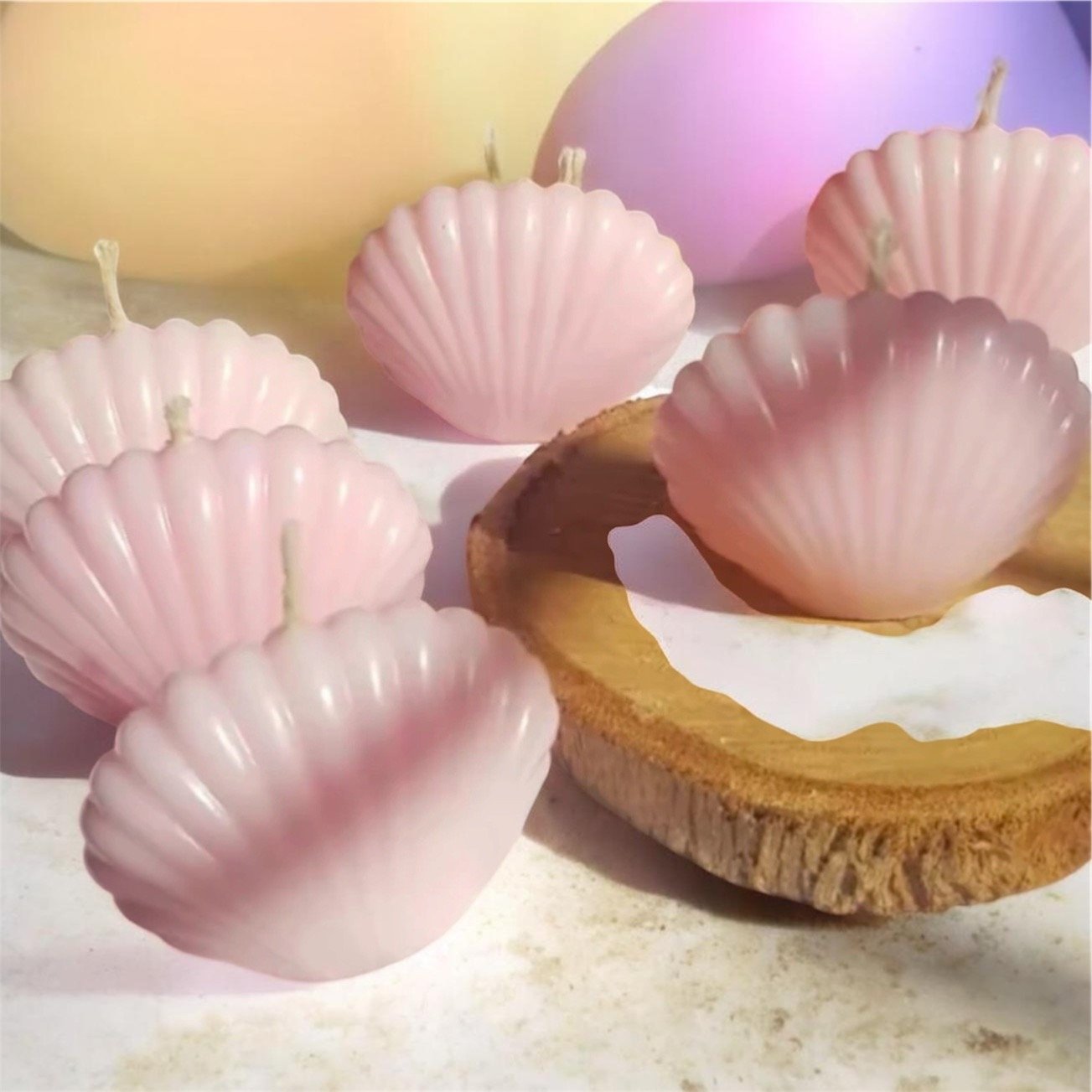 Shell candle 